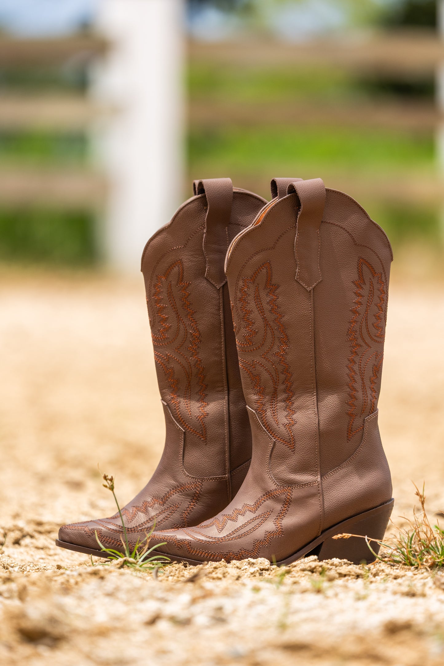 Texanas Largas Gypsy