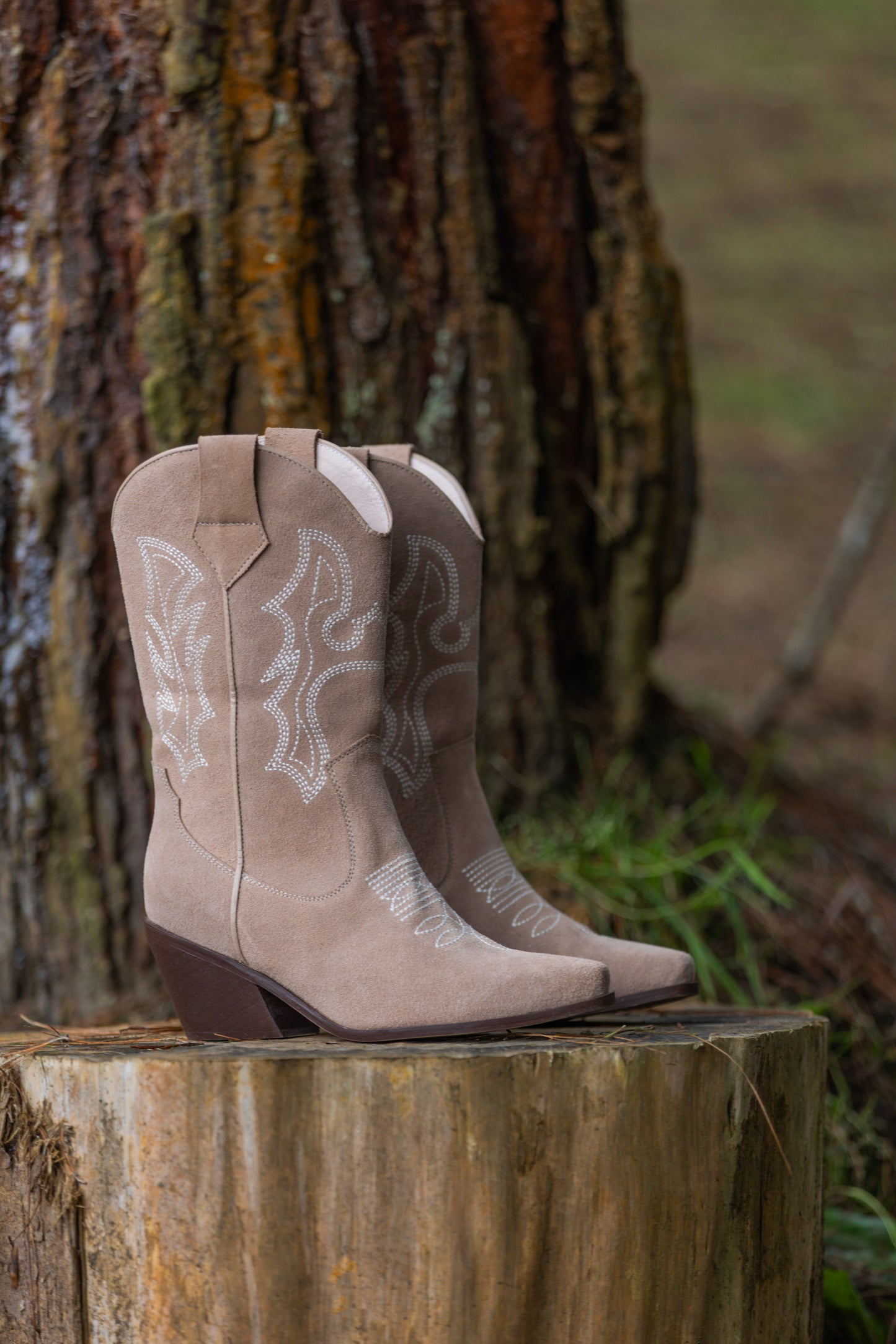 Texanas Caña Media Arizona